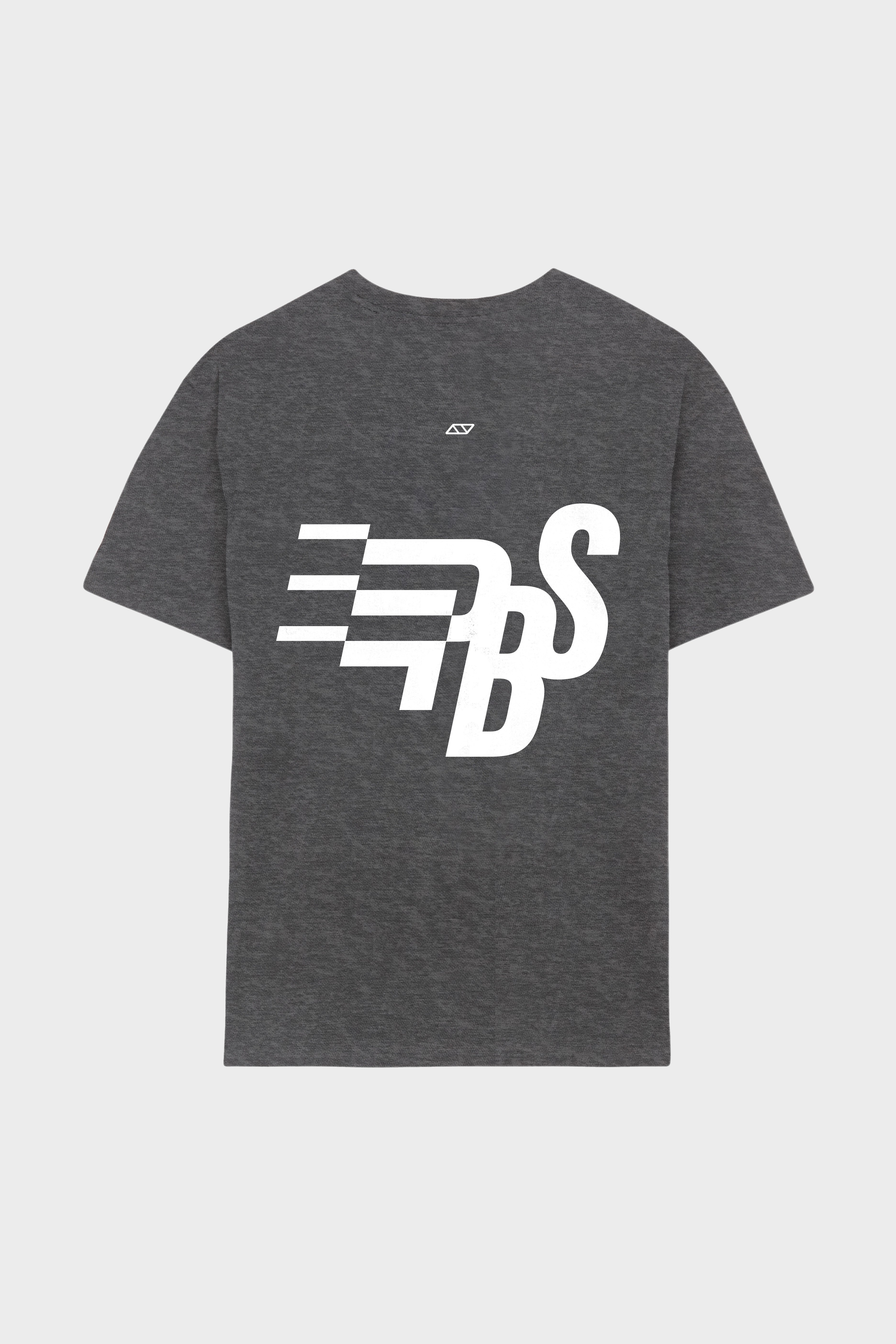 PBS FLAG REGULAR T-SHIRT - GRIS