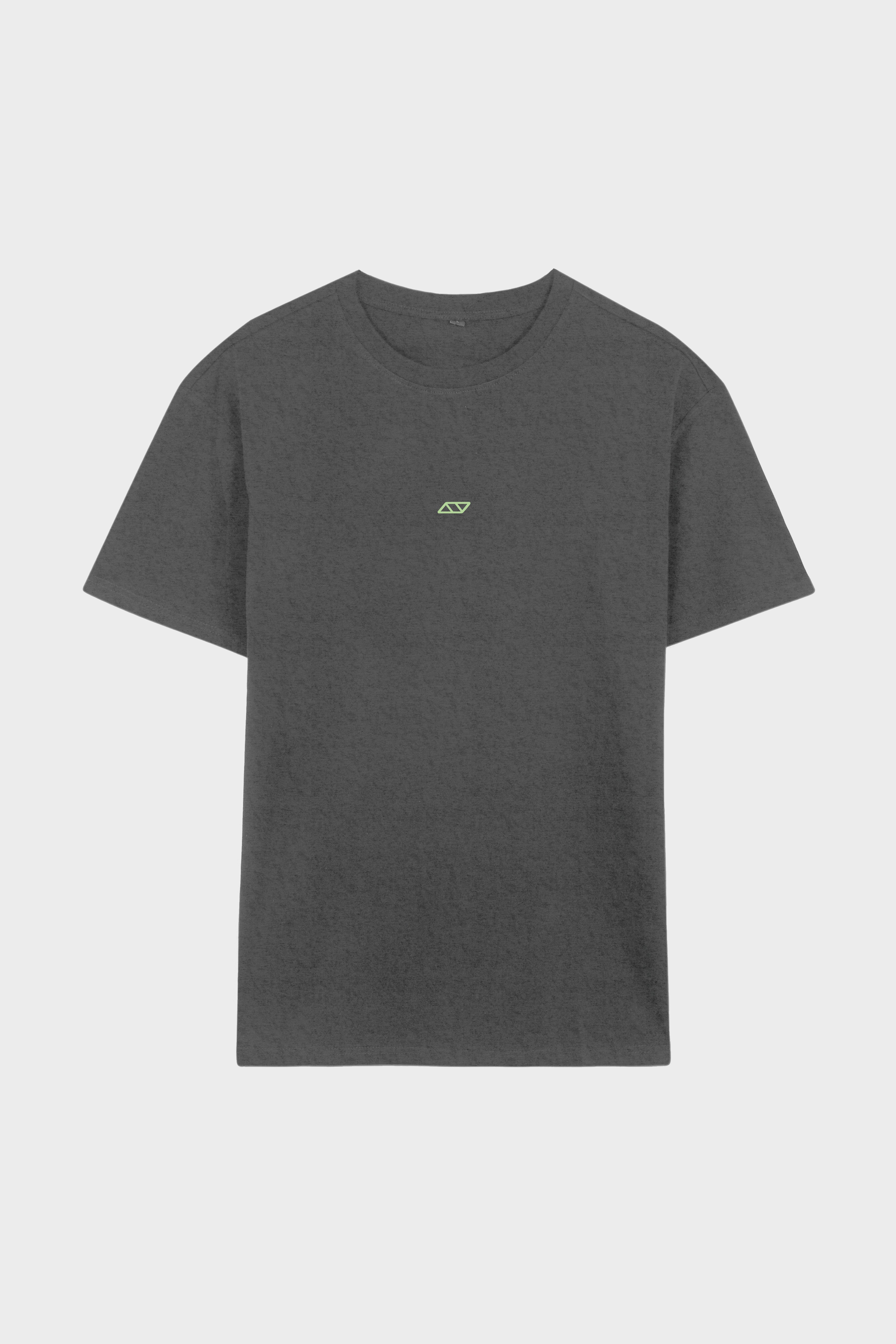 OBSESSIVE 2.0 OVERSIZED T-SHIRT - GRIS Y VERDE